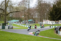 Middle Group Green Bikes